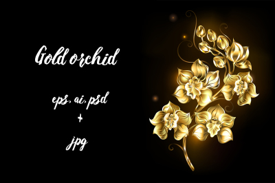 Shining Golden Orchid ( Gold orchid )