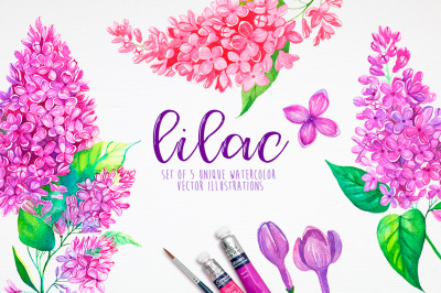 Lilac. Watercolor illustrations.