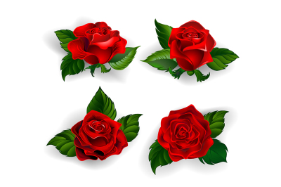 Set of Red Roses