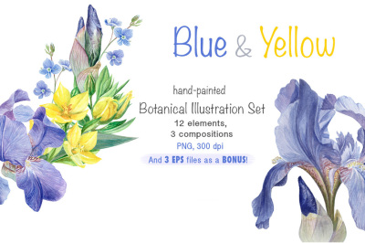 Blue and Yellow flowers set