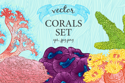 Vector corals and seaweeds set
