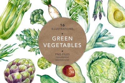 Green Vegetables. Watercolor Bundle