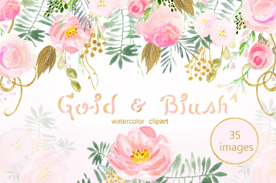 Gold blush watercolour flowers  collection