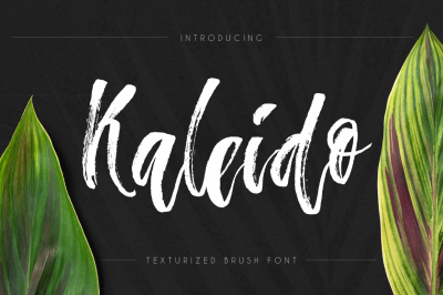 Kaleido - script brush font