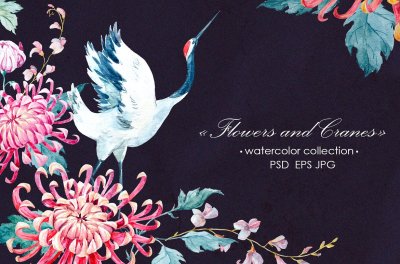 Flowers & cranes (VECTOR+PSD)