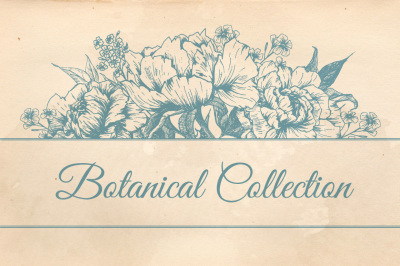 Botanical collection (VECTOR)
