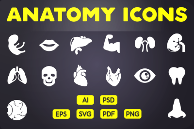 Glyph Icon: Human Anatomy Icons