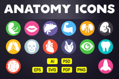 Flat Icon: Human Anatomy Icons