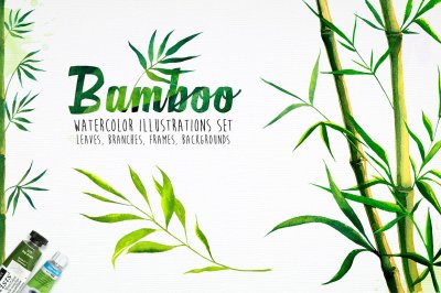 Bamboo. Watercolor illustrations.