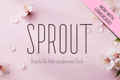 Sprout Font - Sans Serif Font