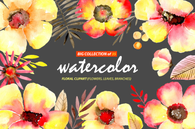 Watercolor yellow & red flowers