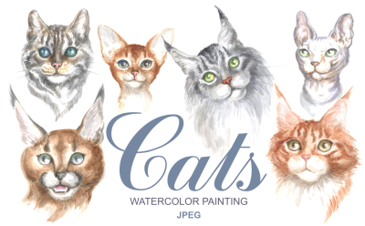 Cats. Watercolor painting.