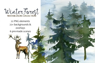 Winter Forest Watercolor Clipart - Pine Trees, Animals, Backgrounds.