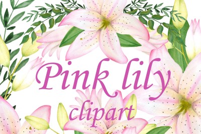 Pink lilium clipart