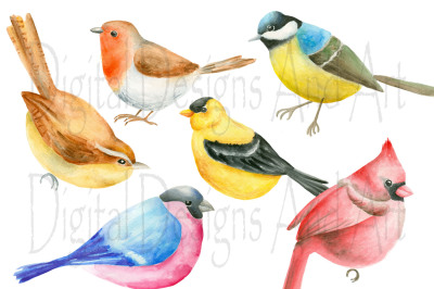 Watercolor birds clipart