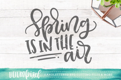  Spring is in the Air / SVG PNG DXF