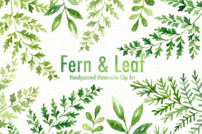 Fern &amp; Leaf Watercolor clipart
