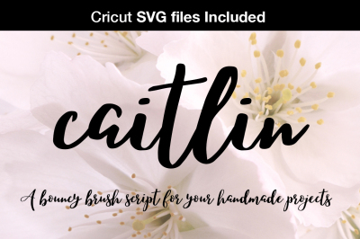 SVG fonts for Cricut - Caitlin brush font
