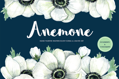 Anemone handpainted floral set