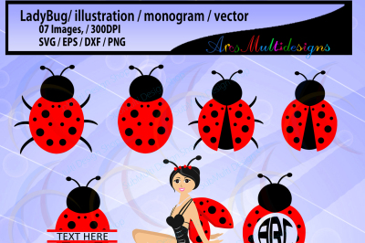 cute lady bug vector