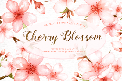 Cherry Blossom Watercolor Clip Art