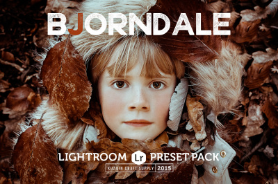 Bjorndale Lightroom Preset Pack