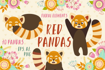 Red pandas set