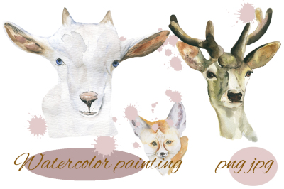 Animals watercolor