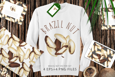 Brazil nut vector set 