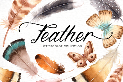 Feather Watercolor Collection