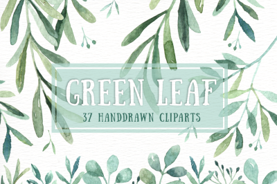 Green Leaf Watercolor clipart