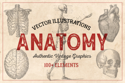 100 Vintage Anatomy Illustrations