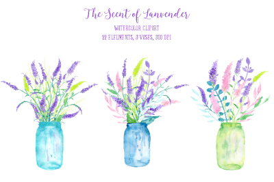 Watercolor Clipart the Scent of Lavender