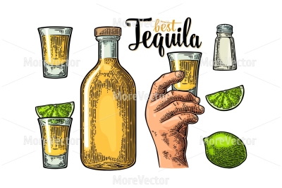 Set for tequila. Hand holding and clinking glass, bottle, salt, lime whole and slice. 