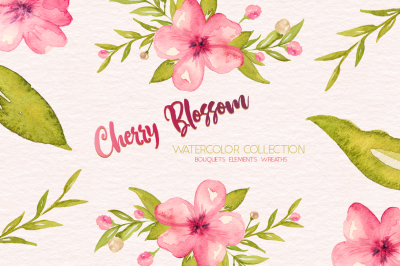 Cherry Blossom Watercolor Collection