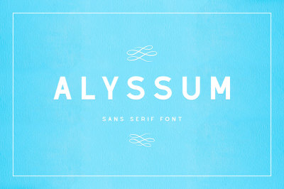Alyssum - Sans Serif Font 