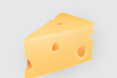 Cheese icon vector illustration isolated on white