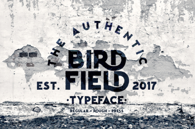 Birdfield Typeface