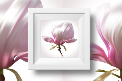 Magnolia illustration close-up on white backdrop for design of posters, banner, birthday cards.