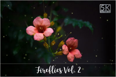 5k Fireflies Vol. 2