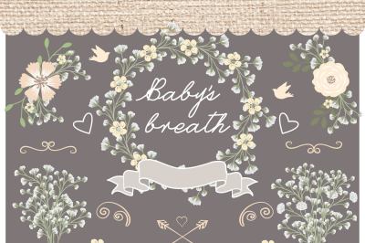 Vector Rustic baby's breath wedding clipart, jar clipart, Hand Drawn clipart,wedding clipart, flower clipart