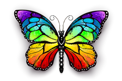 Rainbow Monarch Butterfly