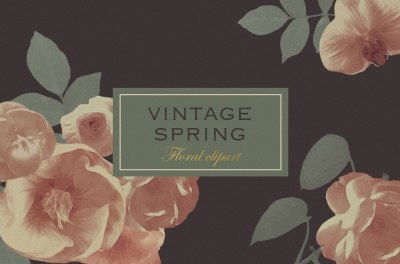 Vintage spring real flower clipart