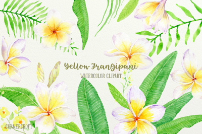 Watercolor Frangipani Clip Art