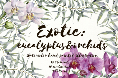 Exotic: eucalyptus&orchids. Watercolor