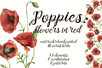 Poppies: flowers in red. Watercolor