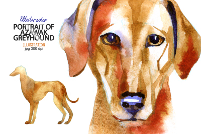 Watercolor Azawak Greyhound.