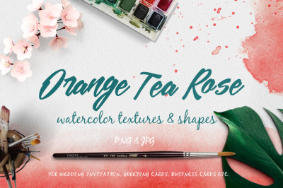 Orange Tea Rose Watercolor Textures