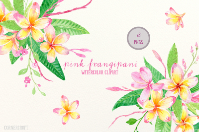 Pink Frangipani Clip Art Watercolor 3