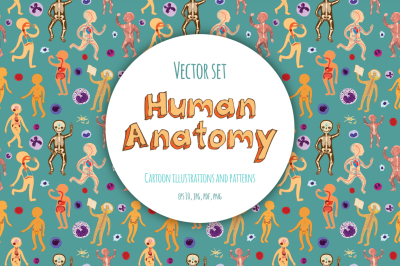 Human Anatomy for kids